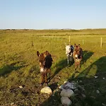 Cromlech Nyaraló *