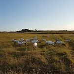 Cromlech Nyaraló *