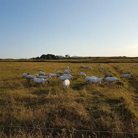Cromlech Hébergement de vacances *