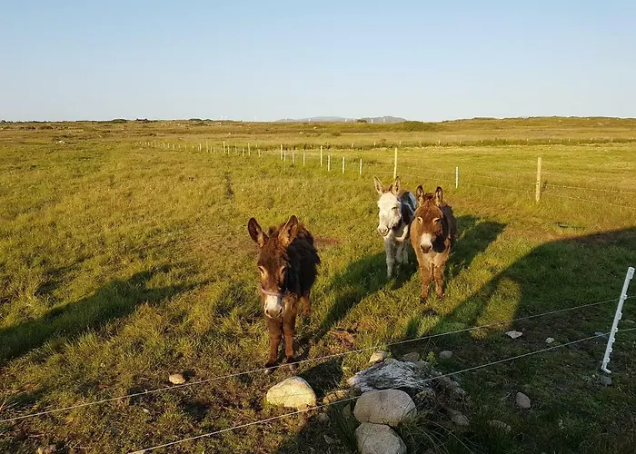 Cromlech Semesterbostad *