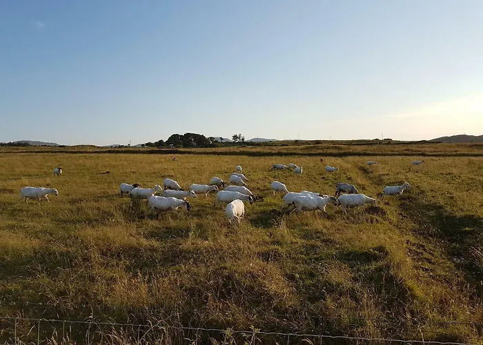 Cromlech Semesterbostad *